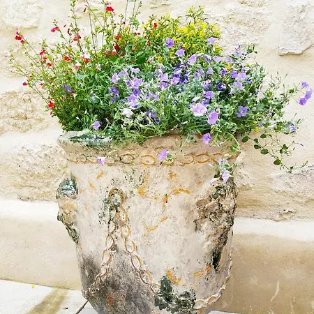 Bed & Breakfast Les Terrasses