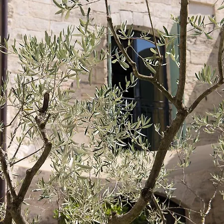 Les Terrasses Bed & Breakfast Uzes
